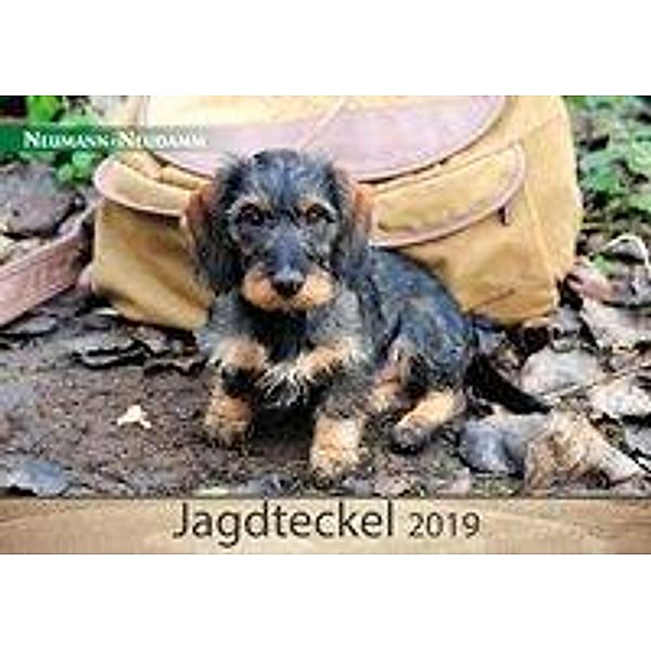 Jagdteckel 2019