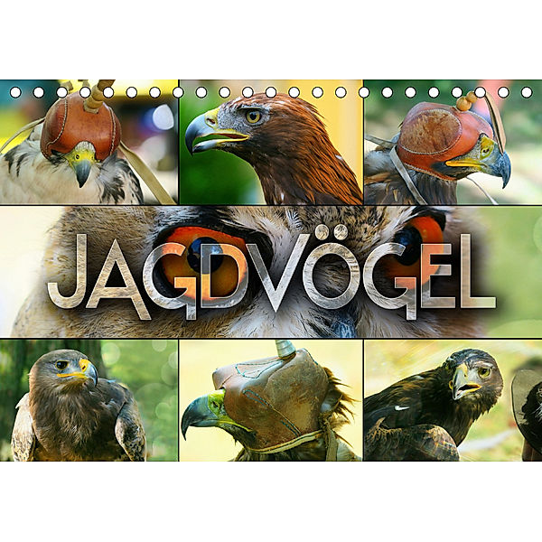 Jagdvögel (Tischkalender 2020 DIN A5 quer), Renate Bleicher