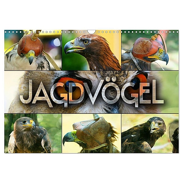 Jagdvögel (Wandkalender 2025 DIN A3 quer), CALVENDO Monatskalender, Calvendo, Renate Bleicher