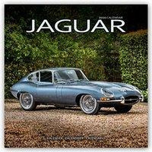 Jaguar 2020, Avonside Publishing