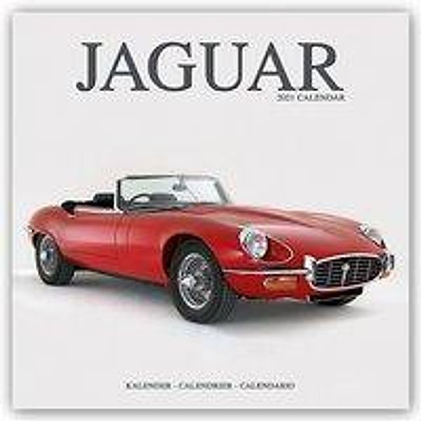 Jaguar 2021, Avonside Publishing