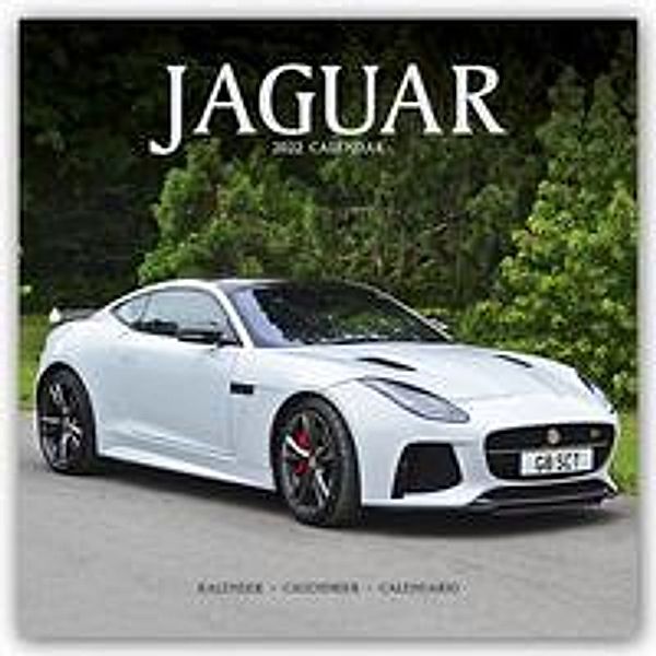 Jaguar 2022 - 16-Monatskalender, Avonside Publishing