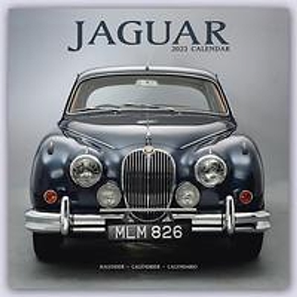 Jaguar 2023 - 16-Monatskalender, Avonside Publishing Ltd