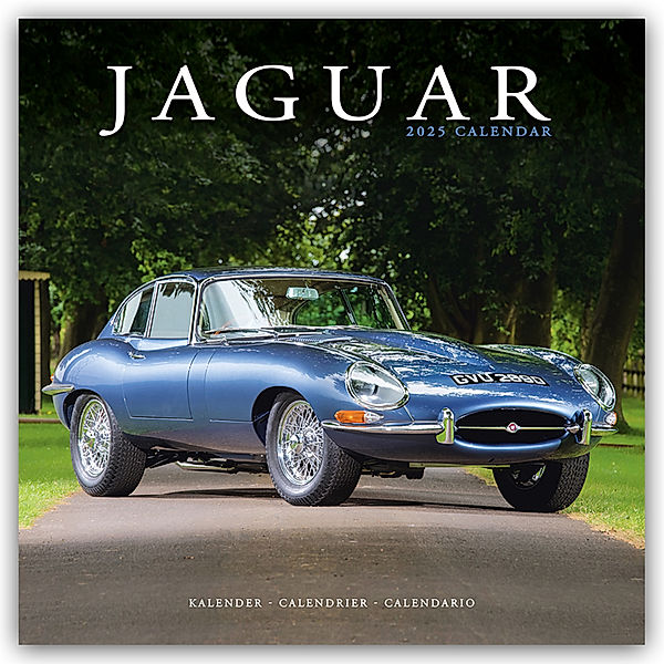 Jaguar 2025 - 16-Monatskalender, Avonside Publishing Ltd
