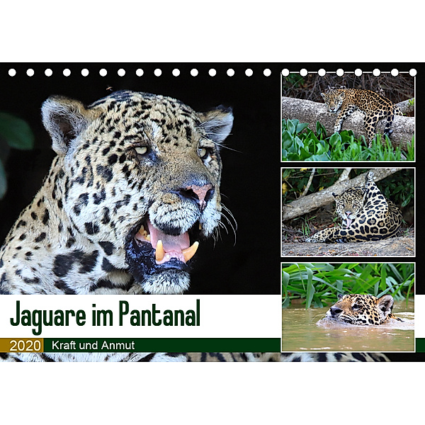 Jaguare im Pantanal (Tischkalender 2020 DIN A5 quer), Yvonne Herzog
