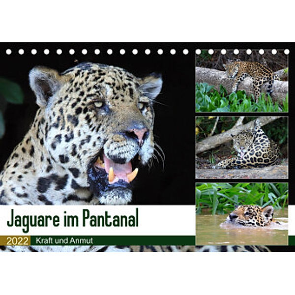 Jaguare im Pantanal (Tischkalender 2022 DIN A5 quer), Yvonne und Michael Herzog