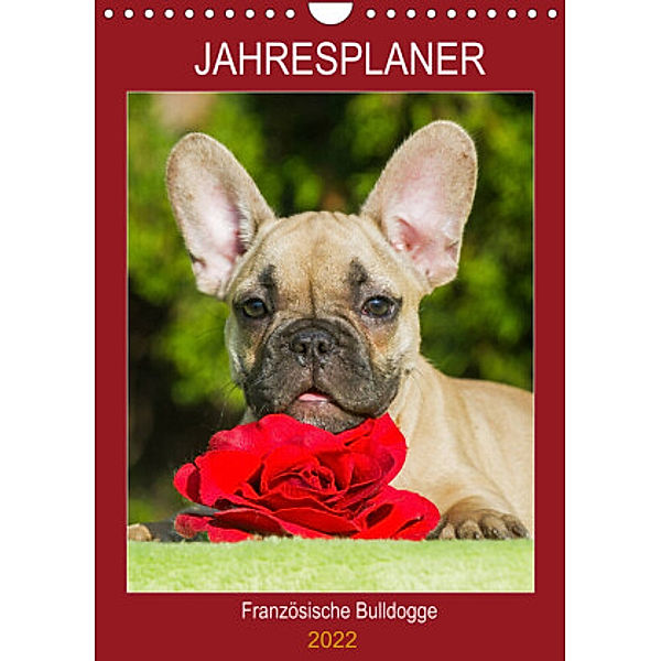 Jahresplaner Französische Bulldogge (Wandkalender 2022 DIN A4 hoch), Sigrid Starick
