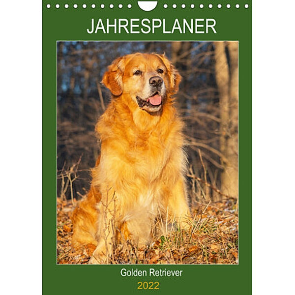 Jahresplaner Golden Retriever (Wandkalender 2022 DIN A4 hoch), Sigrid Starick