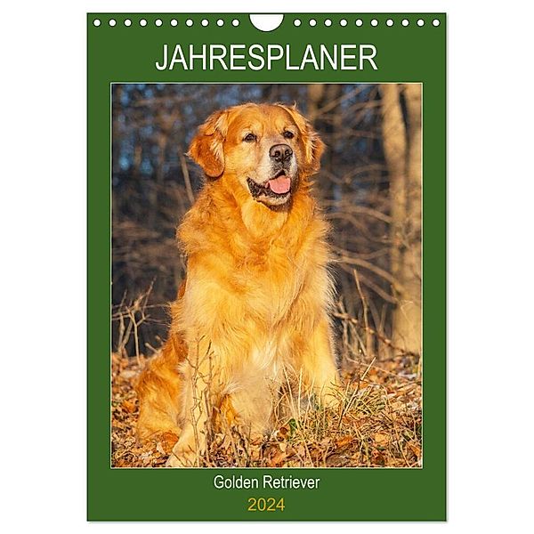 Jahresplaner Golden Retriever (Wandkalender 2024 DIN A4 hoch), CALVENDO Monatskalender, Sigrid Starick