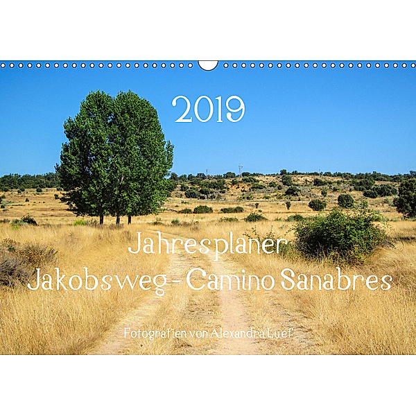 Jahresplaner Jakobsweg - Camino Sanabres (Wandkalender 2019 DIN A3 quer), Alexandra Luef