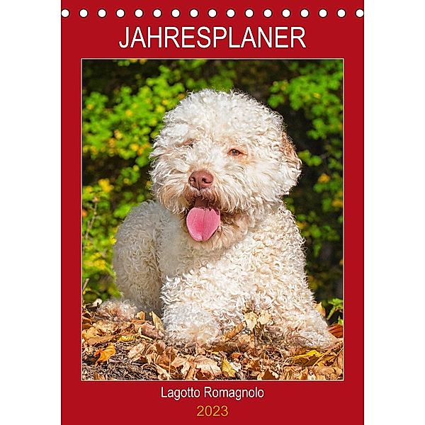 Jahresplaner Lagotto Romagnolo (Tischkalender 2023 DIN A5 hoch), Sigrid Starick