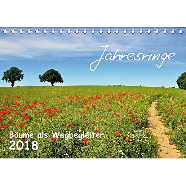 Jahresringe - Bäume als Wegbegleiter (Tischkalender 2018 DIN A5 quer), Sigrun Düll