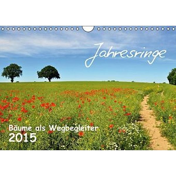 Jahresringe - Bäume als Wegbegleiter (Wandkalender 2015 DIN A4 quer), Sigrun Düll