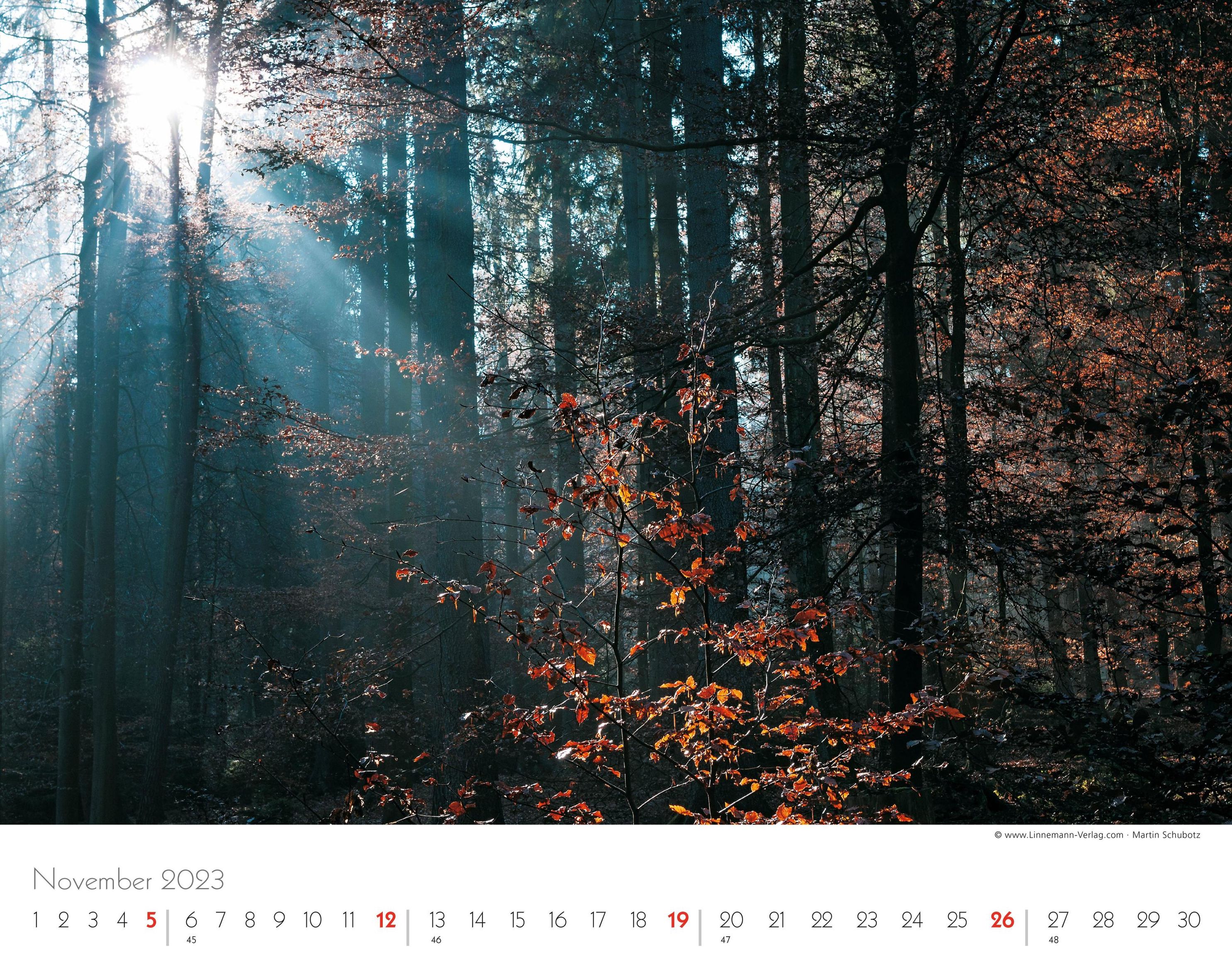 Jahreszeiten 2023 Großformat-Kalender 58 x 45,5 cm - Kalender bestellen