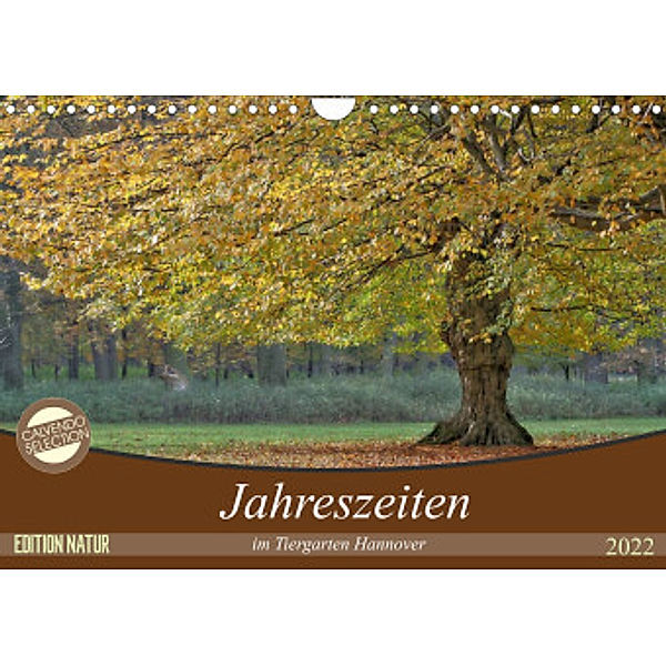 Jahreszeiten im Tiergarten Hannover (Wandkalender 2022 DIN A4 quer), SchnelleWelten