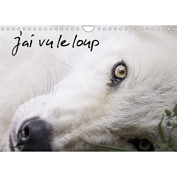 J'ai vu le loup (Calendrier mural 2023 DIN A4 horizontal), Arnaud Camel