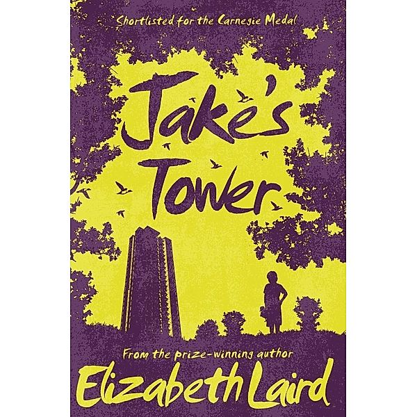 Jake's Tower, Elizabeth Laird