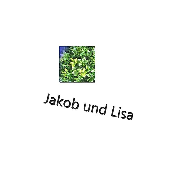 Jakob und Lisa / Jakob und Lisa Bd.1, Finn Magnus