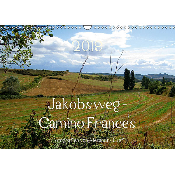 Jakobsweg - Camino Frances (Wandkalender 2019 DIN A3 quer), Alexandra Luef