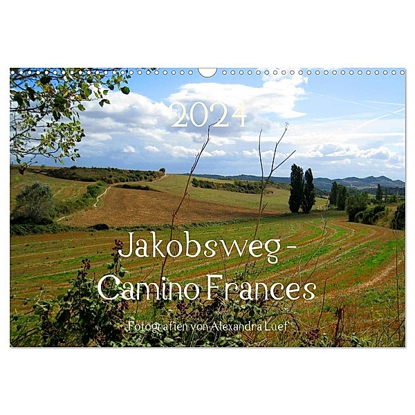 Jakobsweg - Camino Frances (Wandkalender 2024 DIN A3 quer), CALVENDO Monatskalender, Alexandra Luef