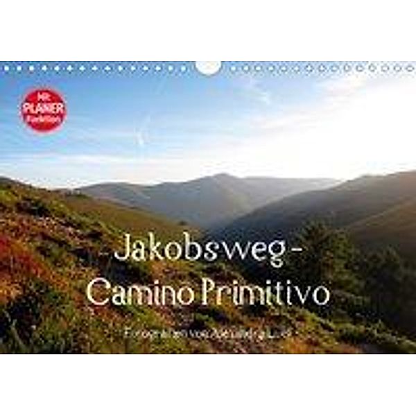 Jakobsweg - Camino Primitivo (Wandkalender 2020 DIN A4 quer), Alexandra Luef