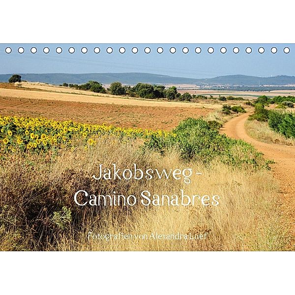 Jakobsweg - Camino Sanabres (Tischkalender 2021 DIN A5 quer), Alexandra Luef