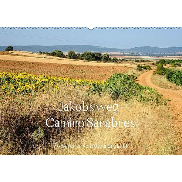 Jakobsweg - Camino Sanabres (Wandkalender 2020 DIN A2 quer), Alexandra Luef