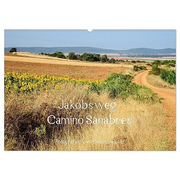 Jakobsweg - Camino Sanabres (Wandkalender 2025 DIN A2 quer), CALVENDO Monatskalender, Calvendo, Alexandra Luef