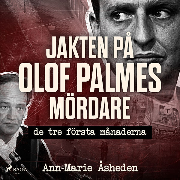 Jakten på Olof Palmes mördare, Ann-Marie Åsheden