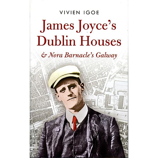 James Joyce's Dublin Houses, Vivien Igoe