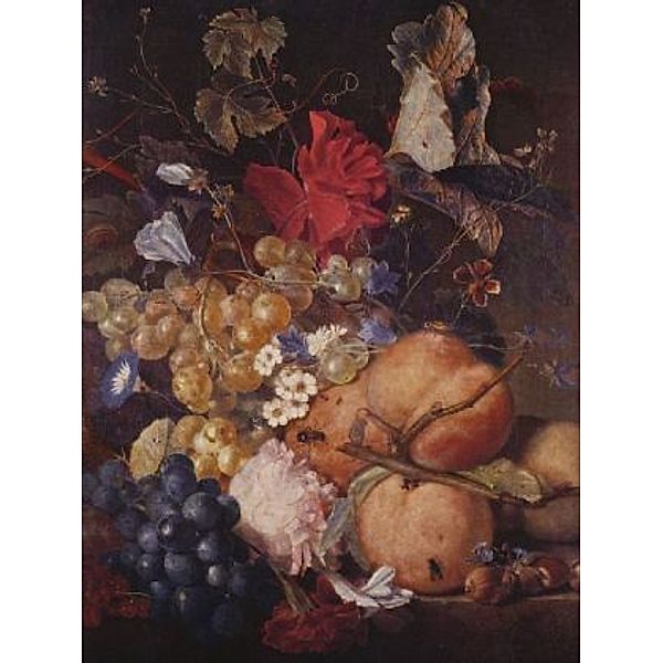 Jan van Huysum - Früchte, Blumen und Insekten - 500 Teile (Puzzle)