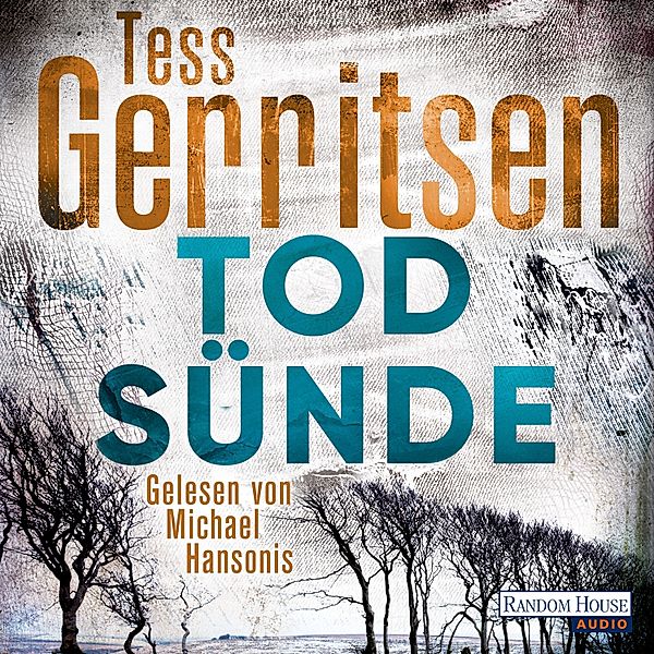 Jane Rizzoli - 3 - Todsünde, Tess Gerritsen