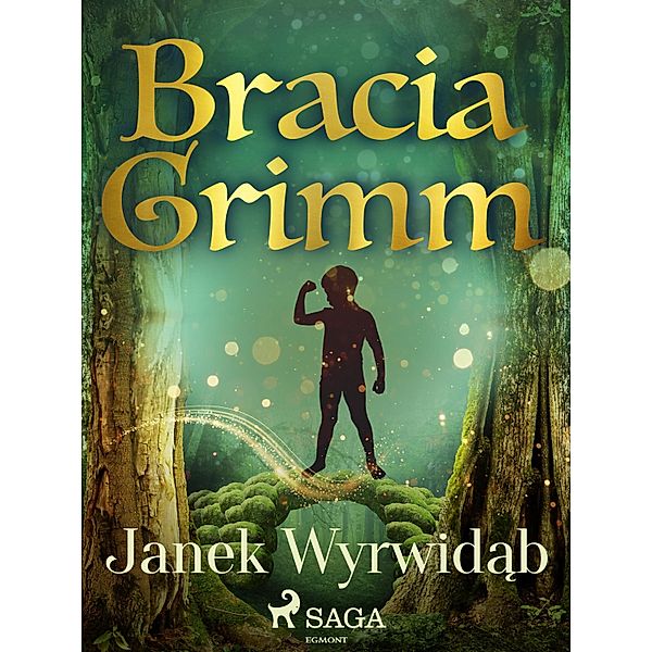 Janek Wyrwidab / Basnie Braci Grimm, Bracia Grimm