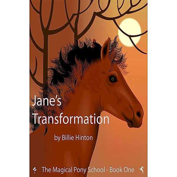 Jane's Transformation (Magical Pony School), Billie Hinton