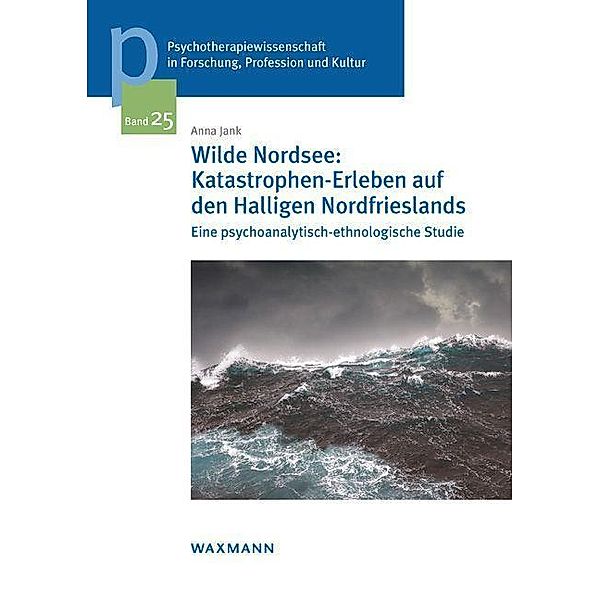 Jank, A: Wilde Nordsee: Katastrophen-Erleben auf den Hallige, Anna Jank