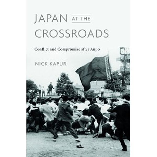 Japan at the Crossroads, Kapur Nick Kapur