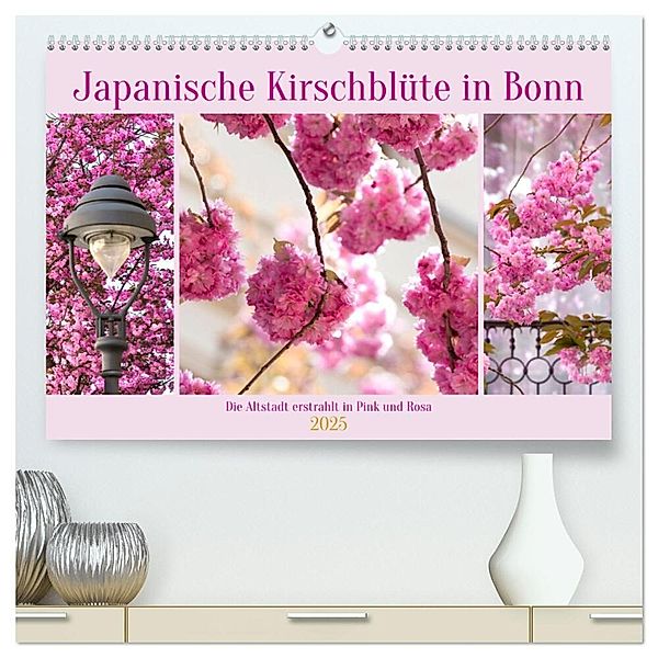 Japanische Kirschblüte in Bonn (hochwertiger Premium Wandkalender 2025 DIN A2 quer), Kunstdruck in Hochglanz, Calvendo, Tatjana Balzer