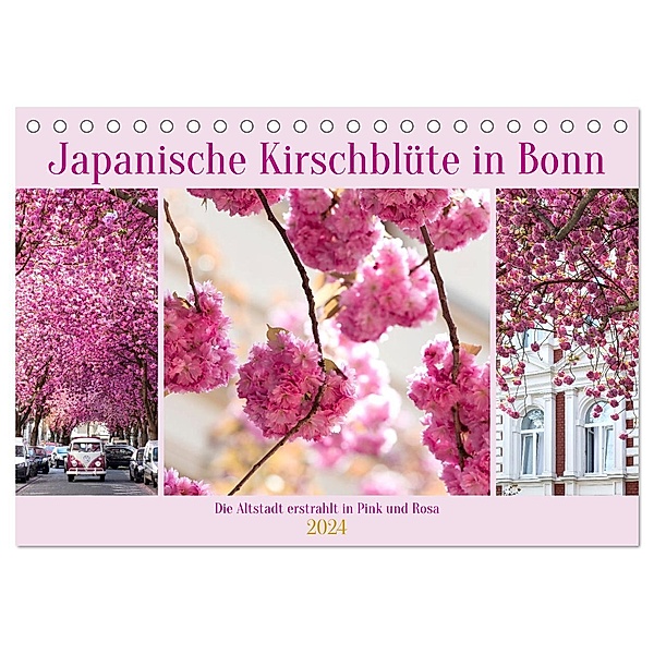 Japanische Kirschblüte in Bonn (Tischkalender 2024 DIN A5 quer), CALVENDO Monatskalender, Tatjana Balzer