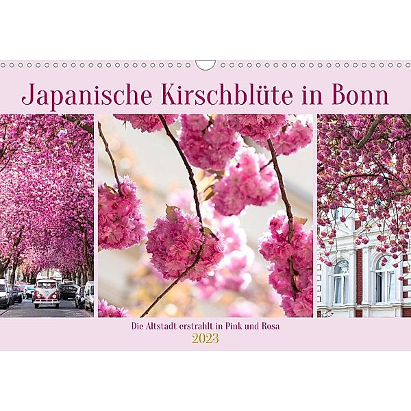 Japanische Kirschblüte in Bonn (Wandkalender 2023 DIN A3 quer), Tatjana Balzer