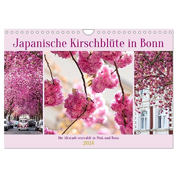 Japanische Kirschblüte in Bonn (Wandkalender 2024 DIN A4 quer), CALVENDO Monatskalender, Tatjana Balzer