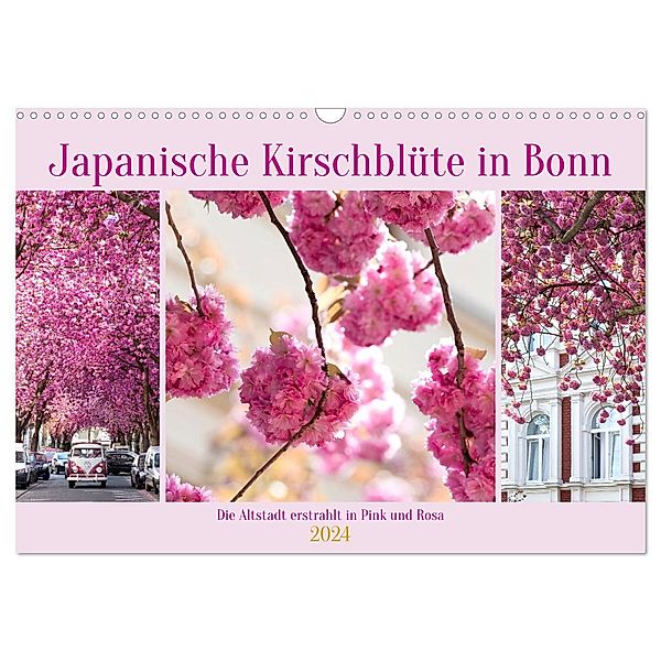 Japanische Kirschblüte in Bonn (Wandkalender 2024 DIN A3 quer), CALVENDO Monatskalender, Tatjana Balzer