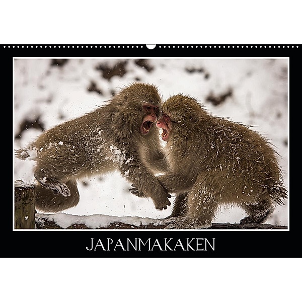 Japanmakaken (Wandkalender 2020 DIN A2 quer), Thomas Schwarz