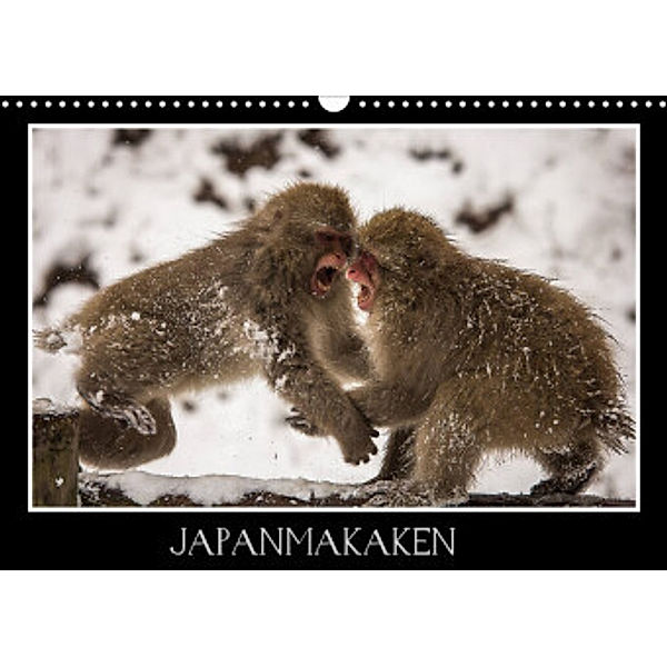 Japanmakaken (Wandkalender 2022 DIN A3 quer), Thomas Schwarz Fotografie