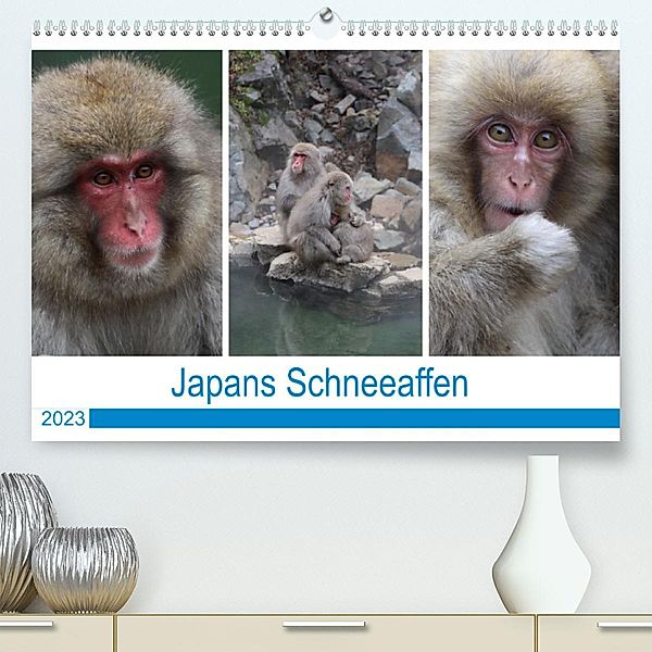 Japans Schneeaffen (Premium, hochwertiger DIN A2 Wandkalender 2023, Kunstdruck in Hochglanz), Reeh