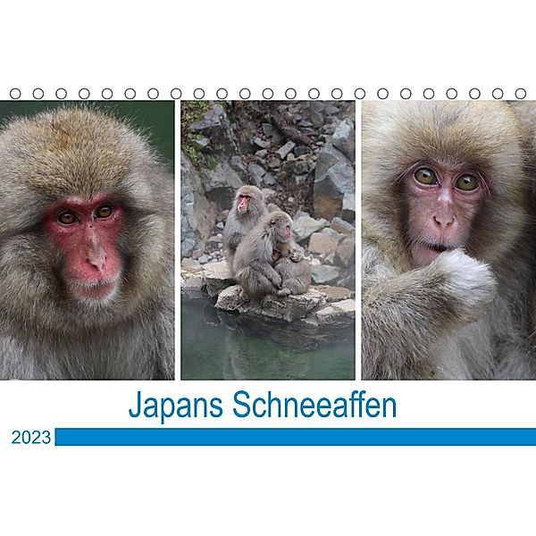Japans Schneeaffen (Tischkalender 2023 DIN A5 quer), Reeh