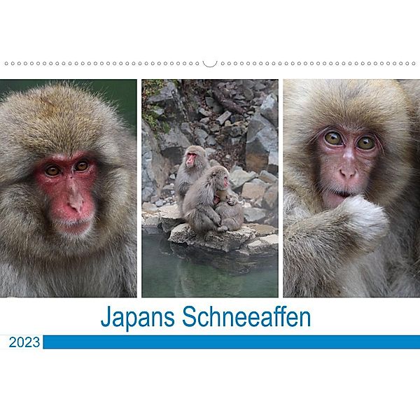 Japans Schneeaffen (Wandkalender 2023 DIN A2 quer), Reeh