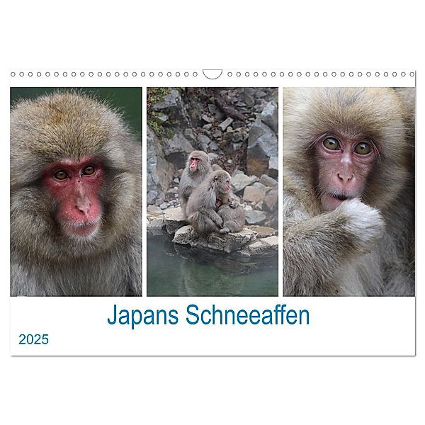 Japans Schneeaffen (Wandkalender 2025 DIN A3 quer), CALVENDO Monatskalender, Calvendo, Reeh