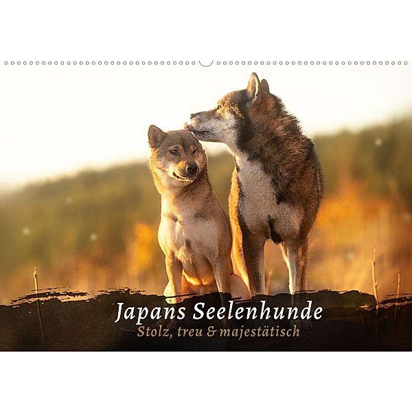 Japans Seelenhunde (Wandkalender 2023 DIN A2 quer), Tamashinu Photography