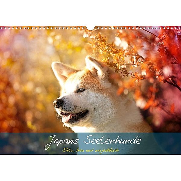Japans Seelenhunde (Wandkalender 2023 DIN A3 quer), Tamashinu Photography