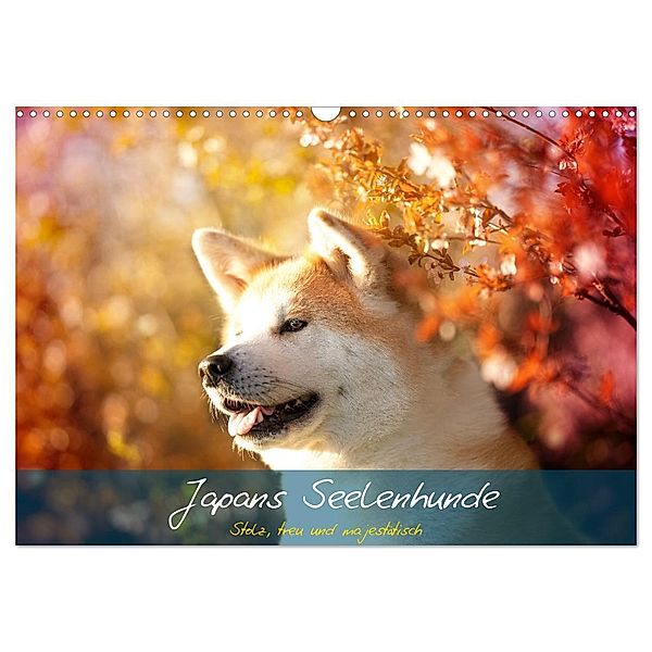 Japans Seelenhunde (Wandkalender 2024 DIN A3 quer), CALVENDO Monatskalender, Tamashinu Photography